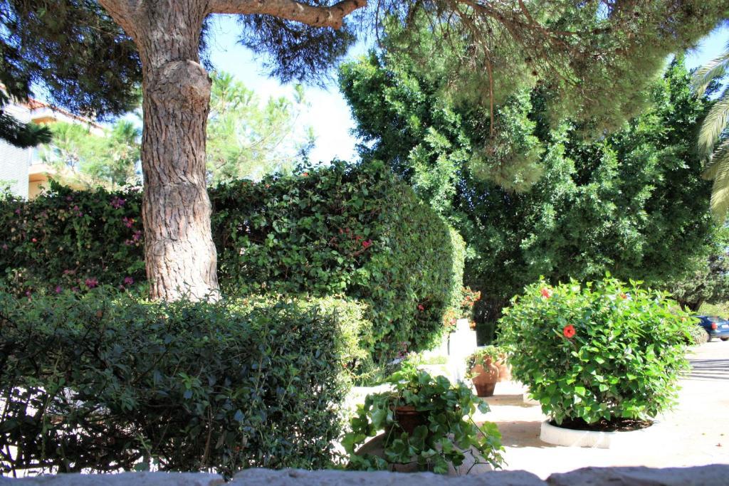 Quinta Da Ameijeira ลากอส ภายนอก รูปภาพ